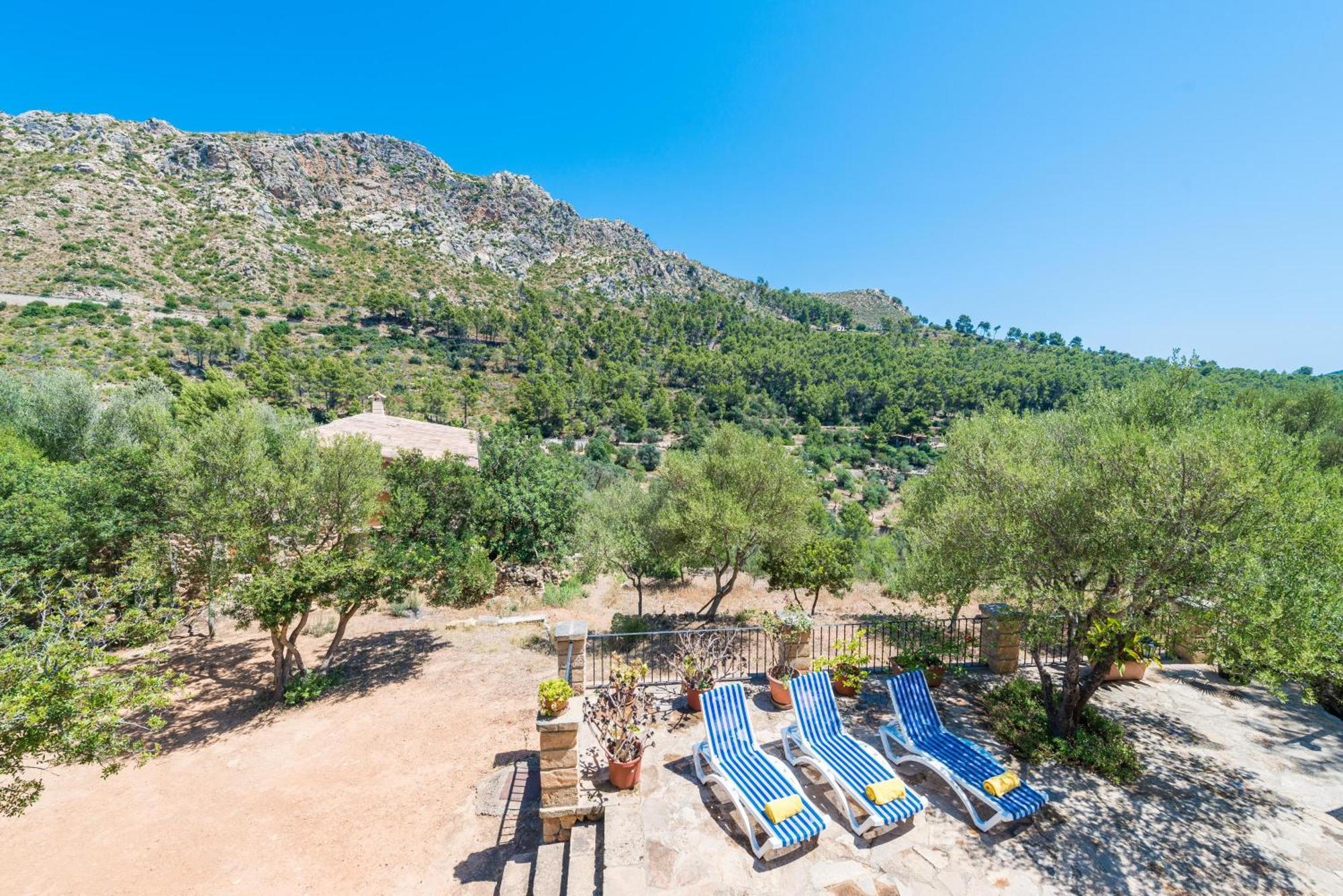 Villa Sa Tarongera Andraitx