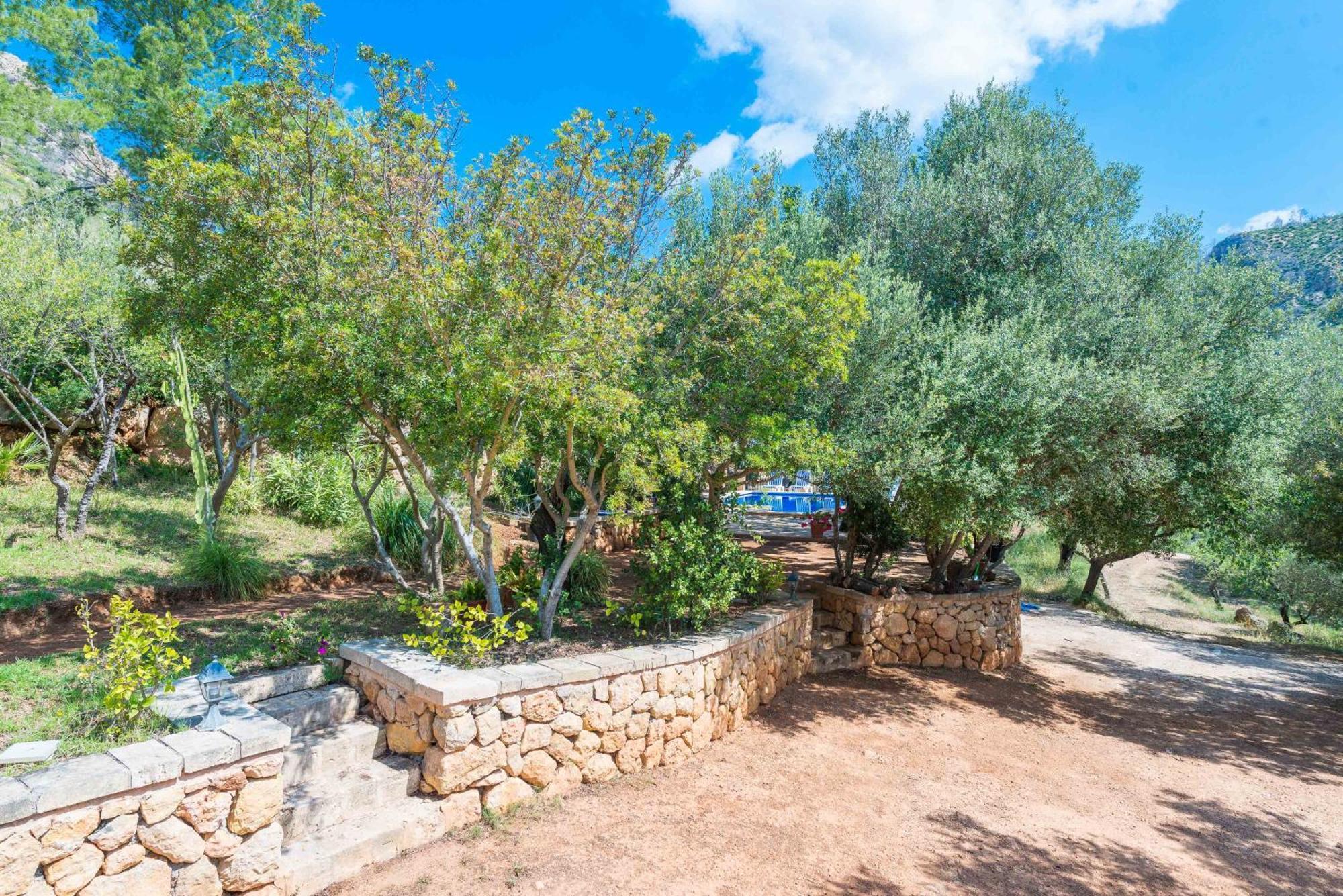 Villa Sa Tarongera Andraitx